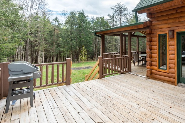 Cabins (United States of America, Forest, Virginia)
