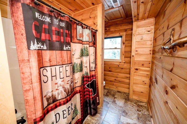Cabins (United States of America, Forest, Virginia)