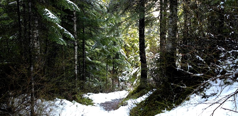 Vacation Rentals (Canada, South River, Ontario)