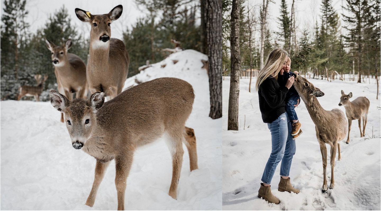 Gorgeous Modern Dome Surrounded by Nature for a Romantic Glamping Escape in Deer Lake, Ontario