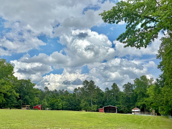 Cabins (United States of America, Henderson, North Carolina)