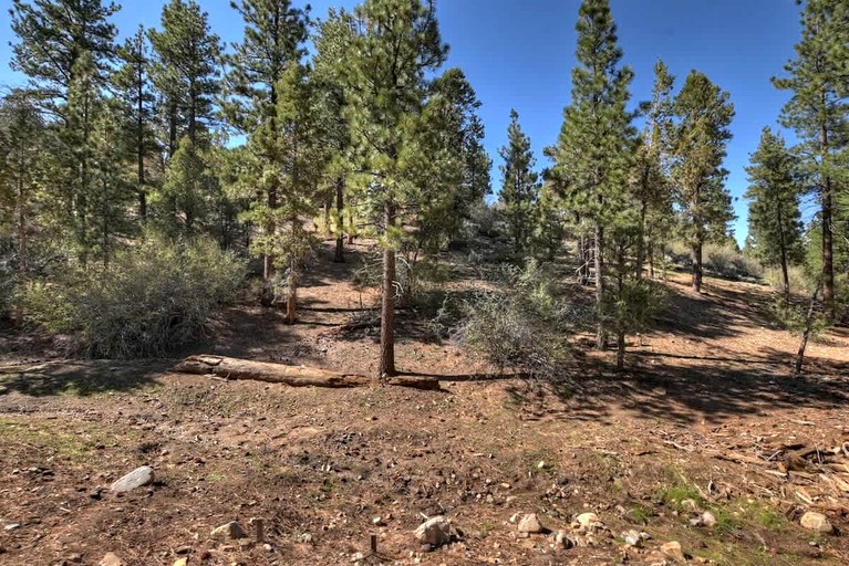 Log Cabins (United States of America, Big Bear, California)