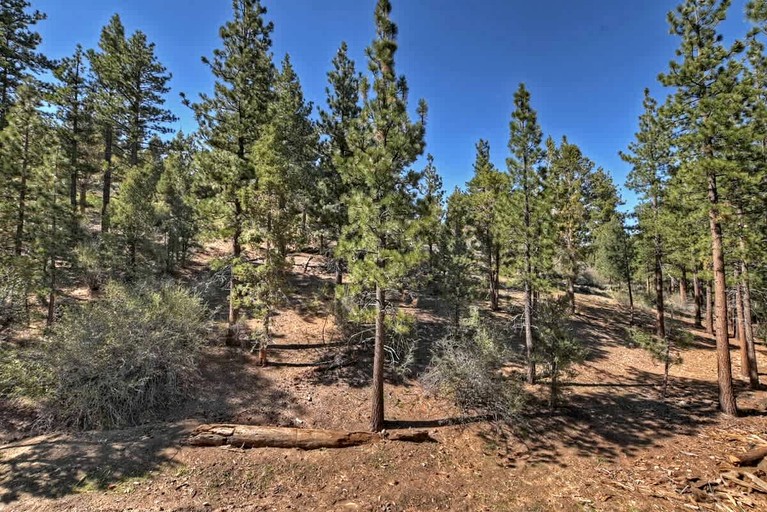 Log Cabins (United States of America, Big Bear, California)