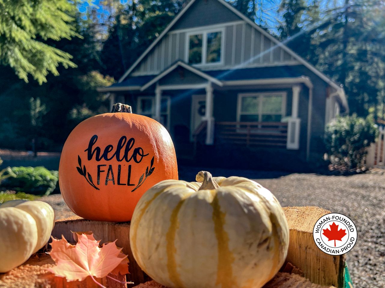 Cabins (United States of America, Deming, Washington)