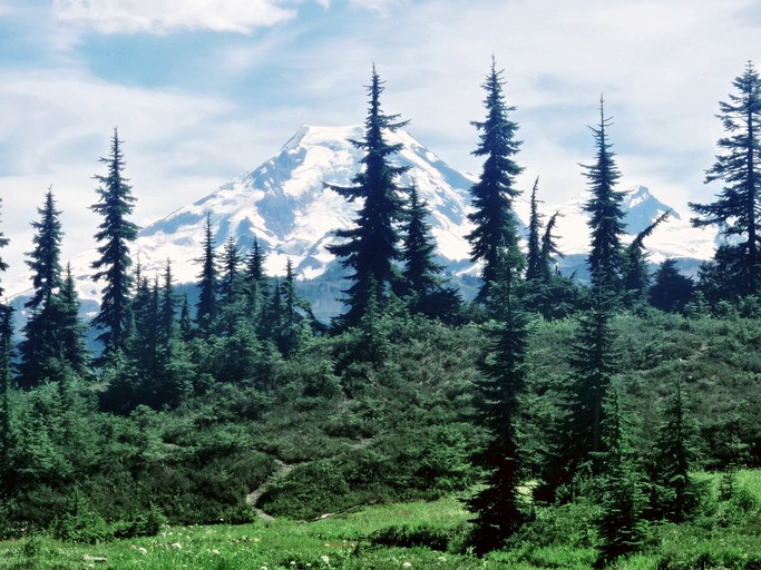 Cabins (United States of America, Deming, Washington)