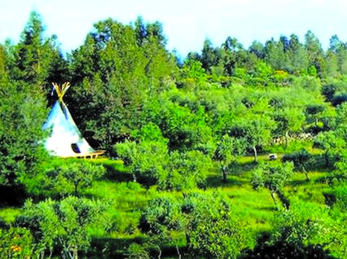 Tipis (Pedrógão, Leiria District, Portugal)