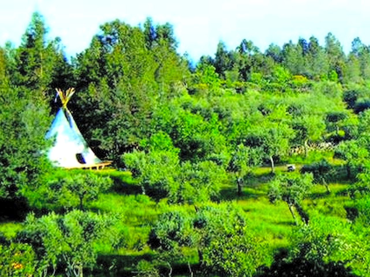 Gorgeous Off-The-Grid Tipis in Central Portugal