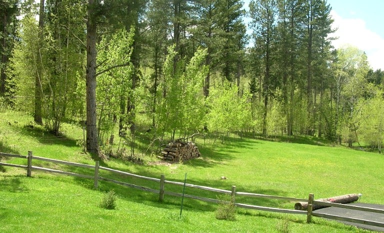 Cabins (Nemo, South Dakota, United States)