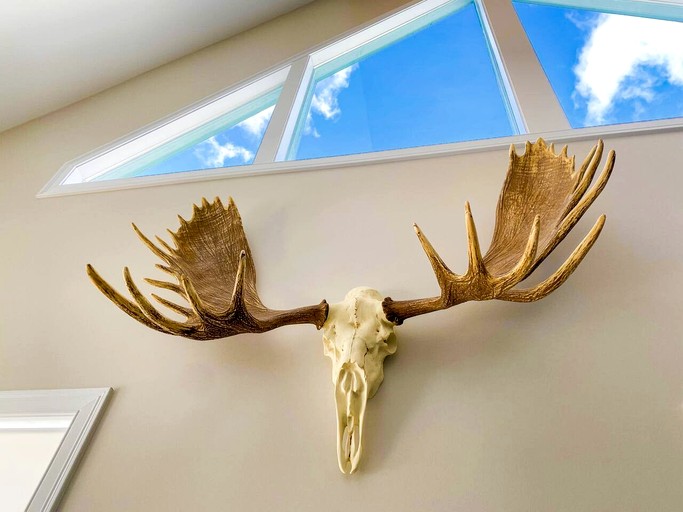 Cabins (United States of America, North Conway, New Hampshire)