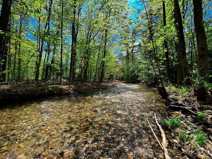 Cabins (United States of America, North Conway, New Hampshire)