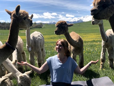 Pet-Friendly and Gorgeous Safari Tent for a Glamping Getaway near White River National Forest, Colorado photo 4