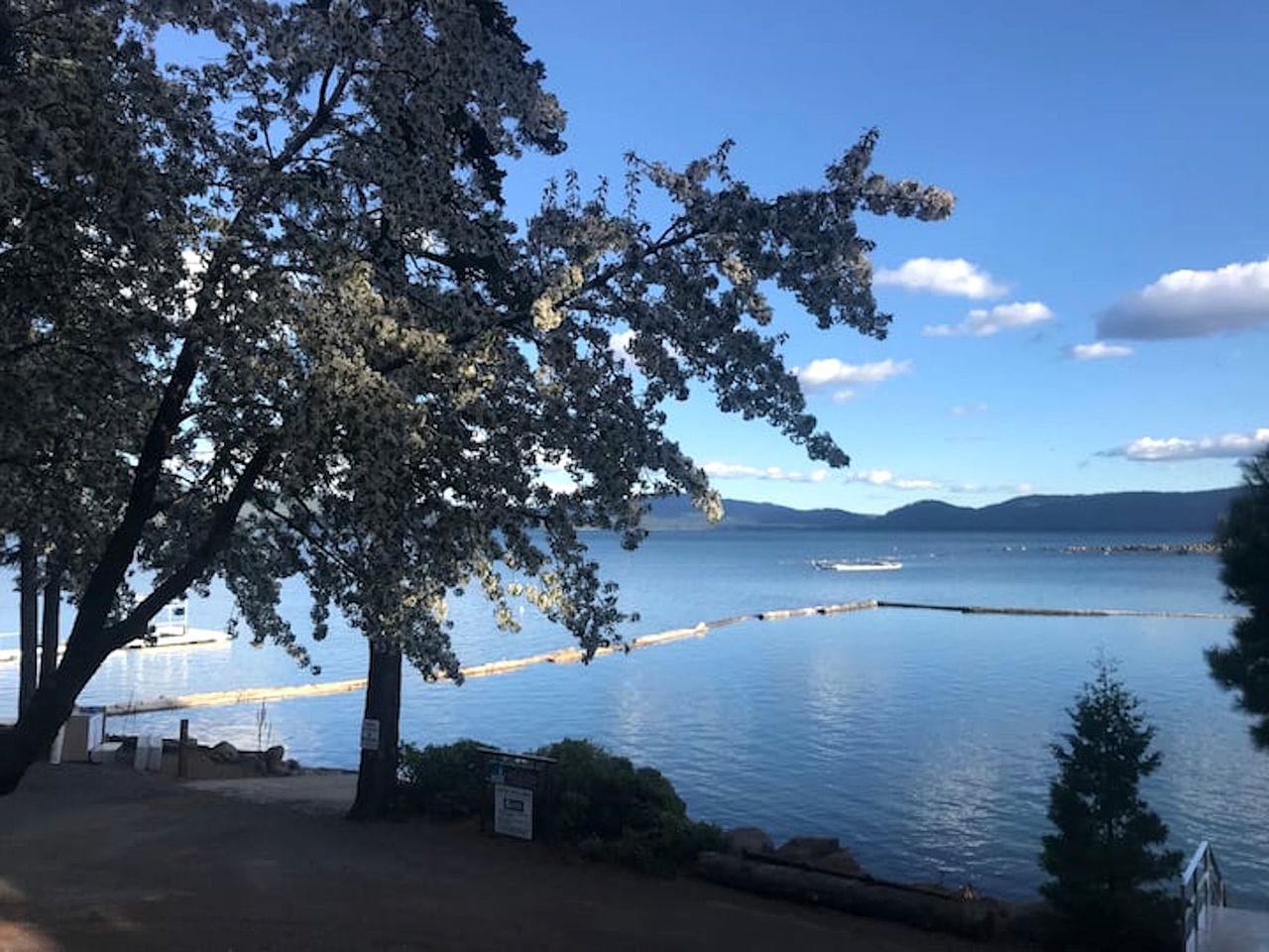 Gorgeous Secluded Cabin with Amazing Views in Lake Almanor, California
