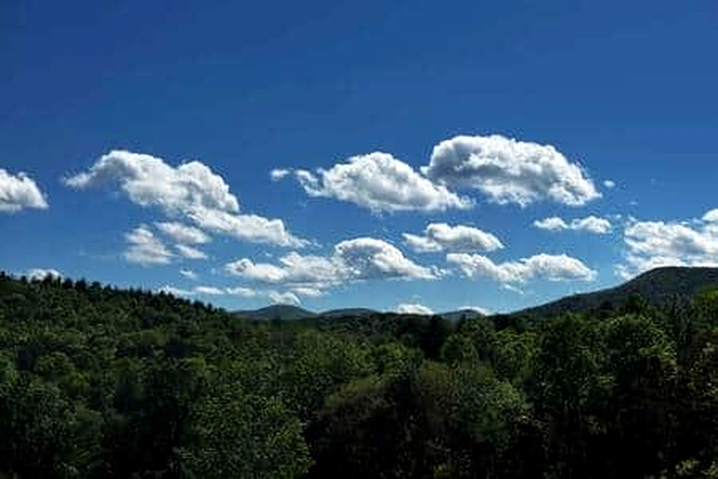 Gorgeous Secluded Vacation Rental in Transylvania County, North Carolina
