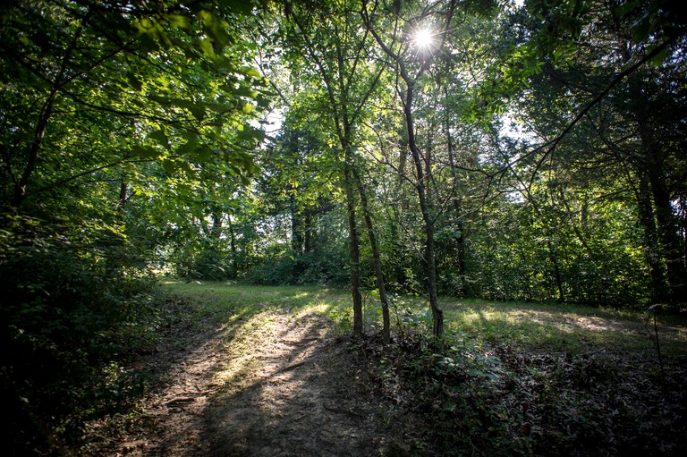 Cabins (United States of America, Carbondale, Illinois)
