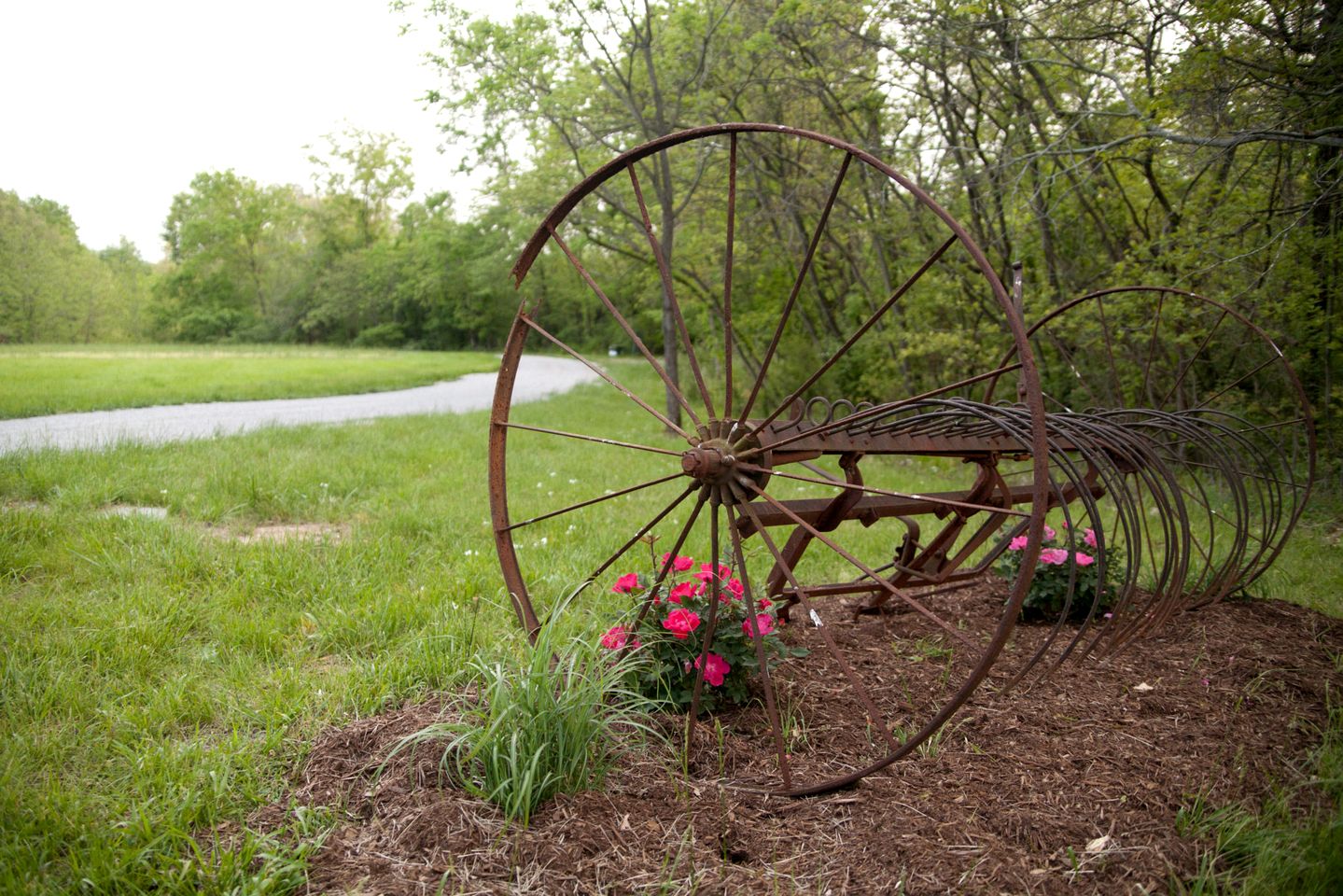 Gorgeous Secluded Wooden Cabin in Carbondale, Illinois