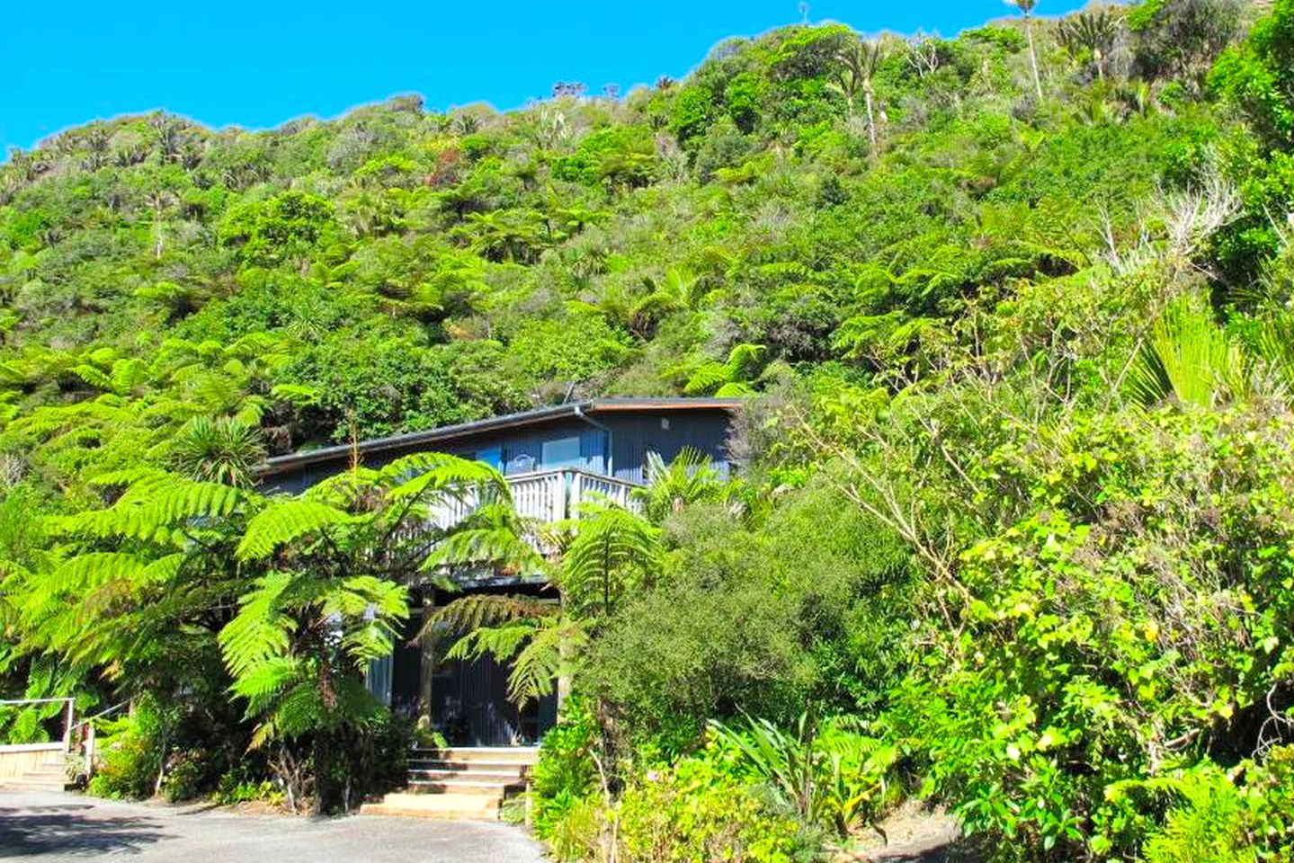 Gorgeous Suite Rental for Weekend Getaways in a Punakaiki Accommodation on the South Island