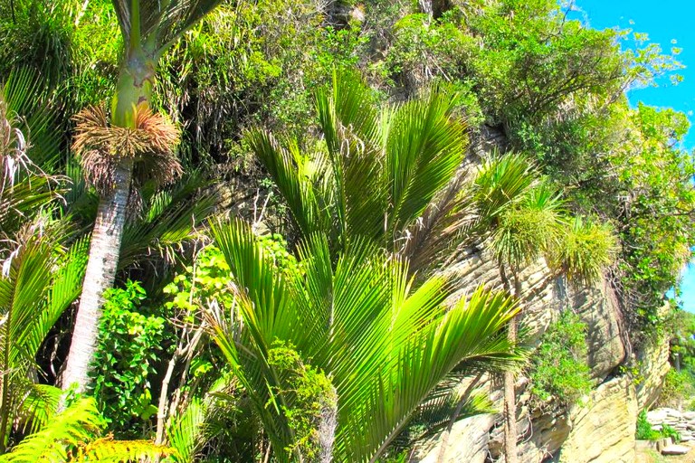 Cottages (Punakaiki, South Island, New Zealand)