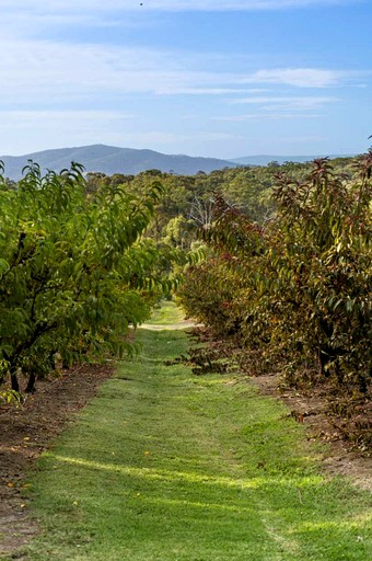 Tiny Houses (Australia, Yarra Junction, Victoria)