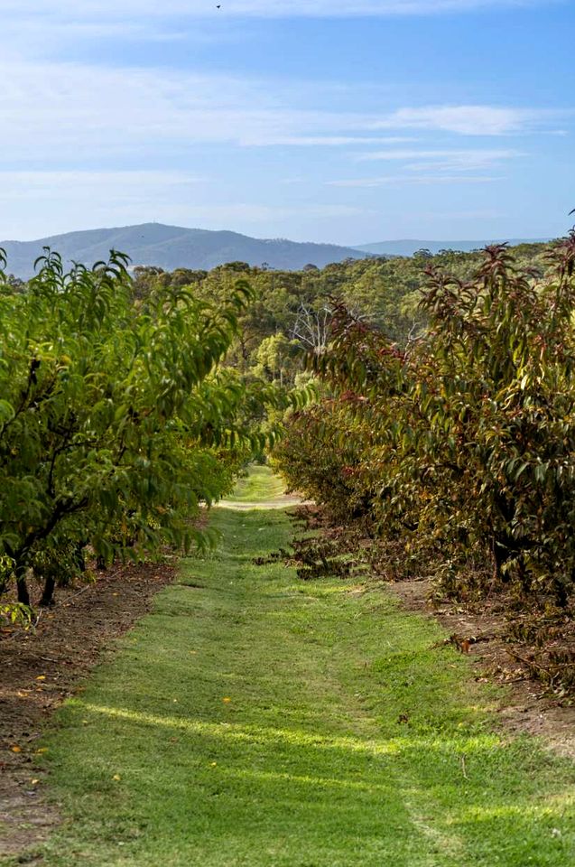 Gorgeous Tiny House with Fire Pit in Yarra Junction, Victoria