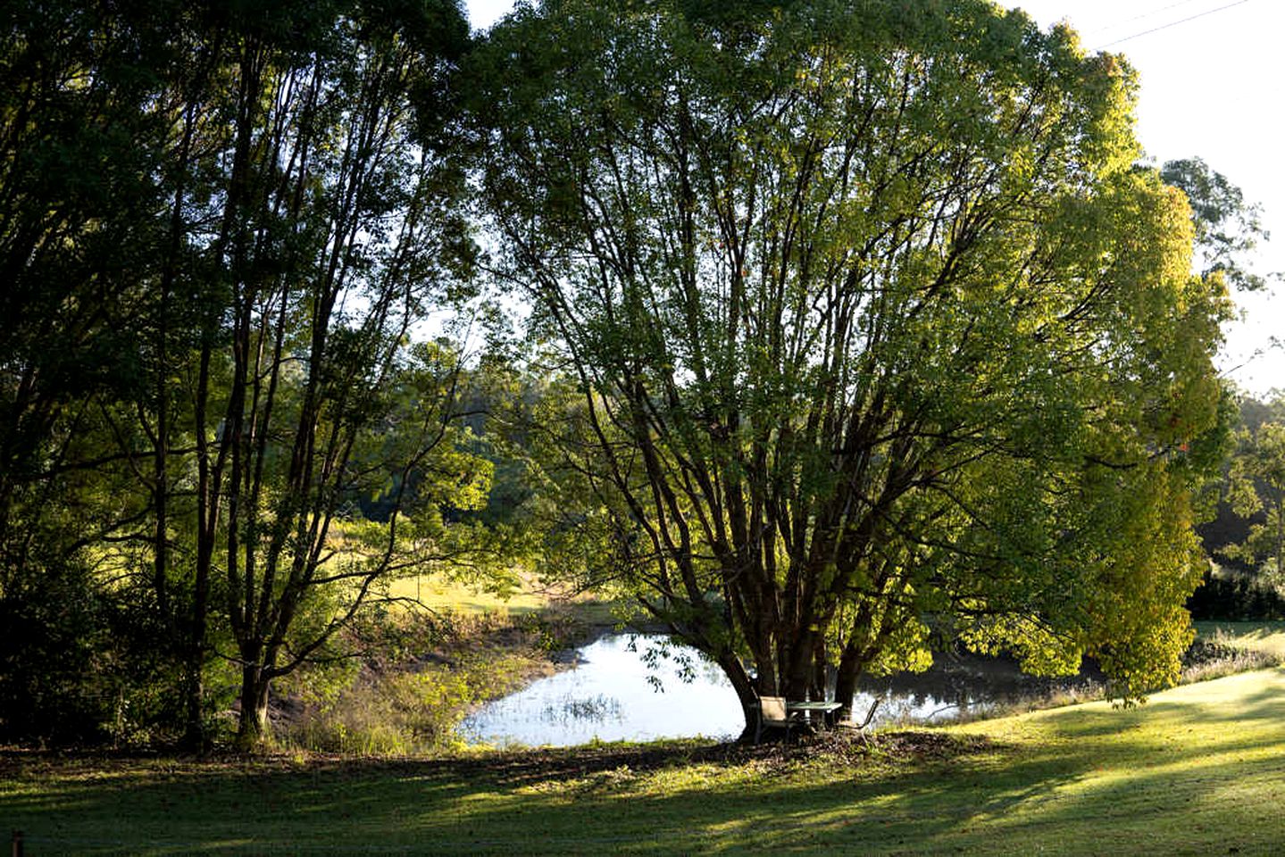 Gorgeous Tiny House Near the Beautiful Sunshine Coast Perfect for Water Sports in Queensland, Australia