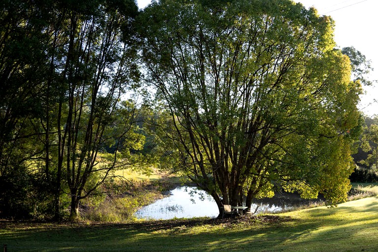 Tiny Houses (Australia, Perwillowen, Queensland)