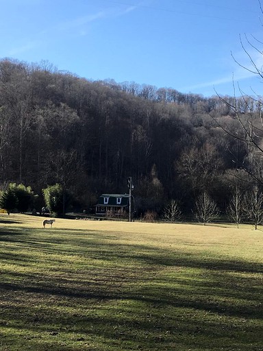 Log Cabins (Genoa, West Virginia, United States)