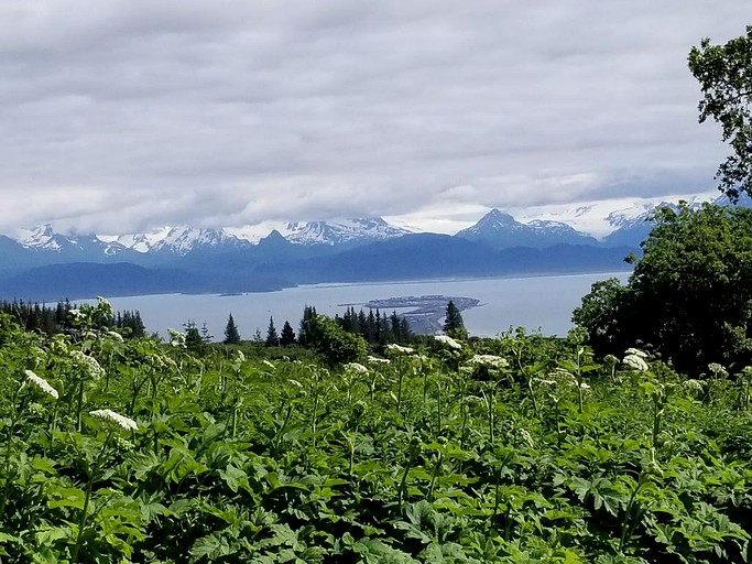 Cabins (Homer, Alaska, United States)