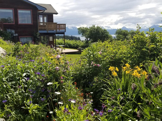 Cabins (Homer, Alaska, United States)