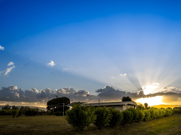 Cottages (Abergowrie Ingham, Queensland, Australia)