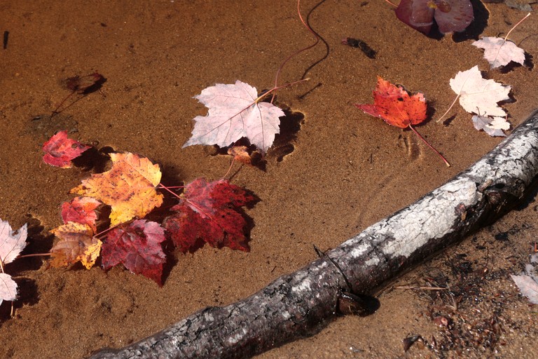 Vacation Rentals (United States of America, Eagle Bay, New York)