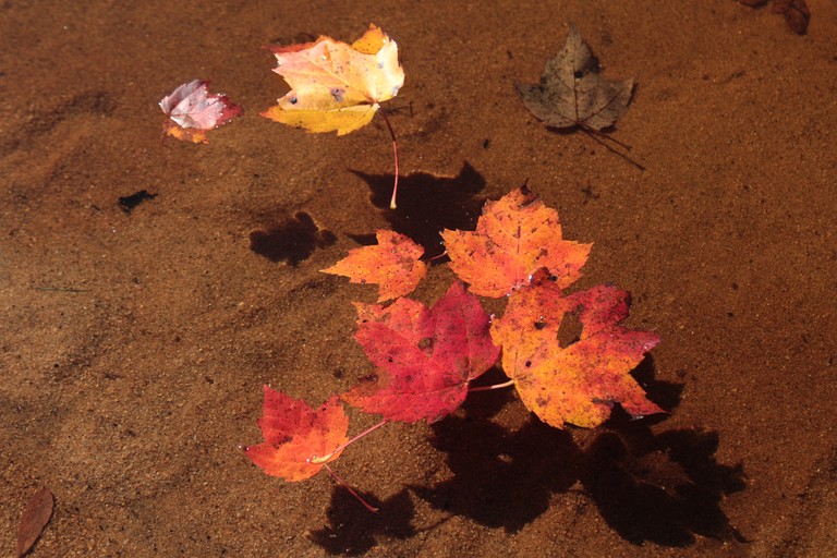 Vacation Rentals (United States of America, Eagle Bay, New York)