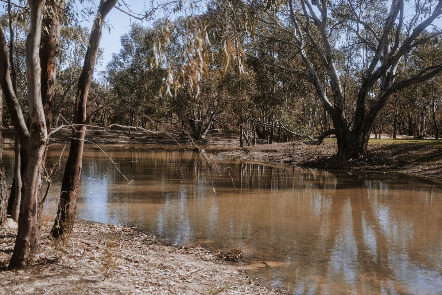 Grampians Wine Country Tiny House for Glamping in Dadswells Bridge, Victoria