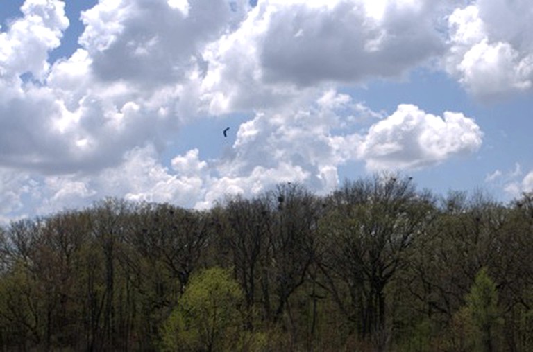 Nature Lodges (Muskego, Wisconsin, United States)