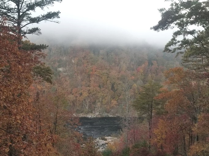 Cabins (United States of America, Marshall, North Carolina)