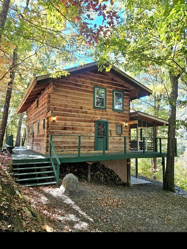Cabins (United States of America, Marshall, North Carolina)