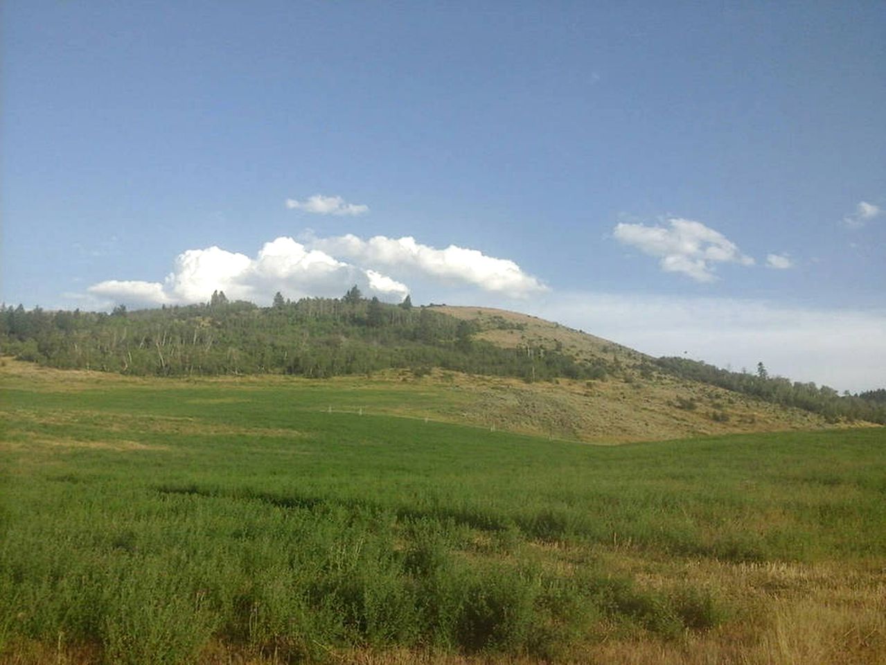 Secluded Idaho Vacation Rental Idaho Falls