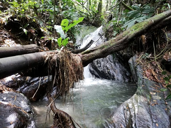 Cabins (El Peñón, Cundinamarca, Colombia)