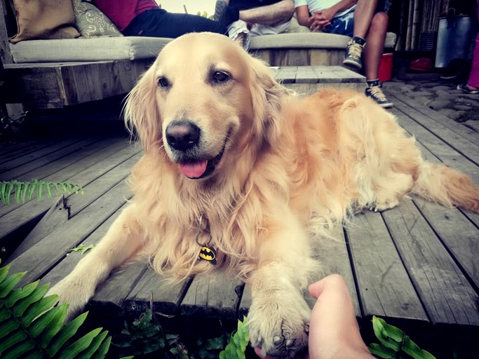Cabins (El Peñón, Cundinamarca, Colombia)