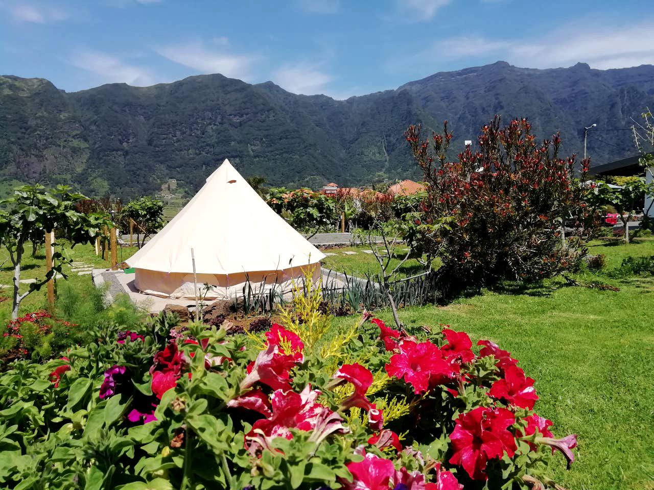 Amazing Glamping Experience on a Farm near the São Vicente Caves in Madeira, Portugal