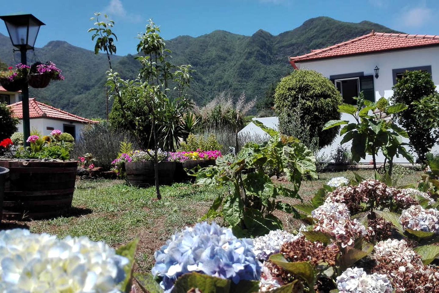 Cozy Cottage Getaway near the São Vicente Caves in Madeira, Portugal