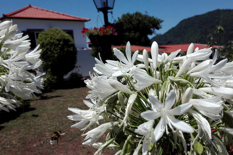 Cottages (São Vicente, Madeira, Portugal)