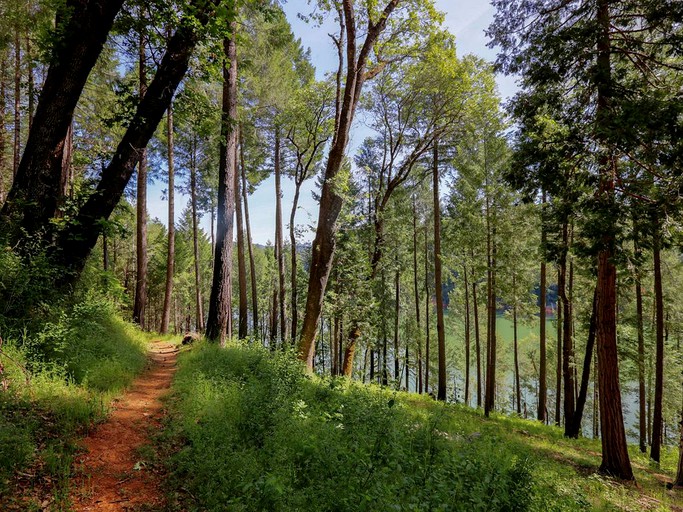 Cabins (Grass Valley, California, United States)