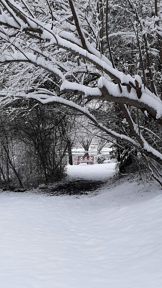 Great Cabins Ideal for Groups Getaways in Copperhill, Tennessee