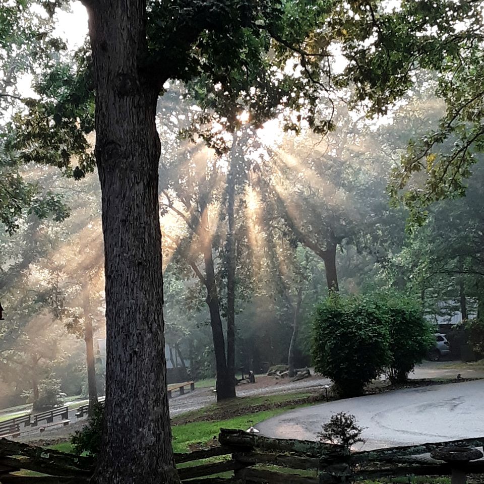 Great Cabins Ideal for Groups Getaways in Copperhill, Tennessee