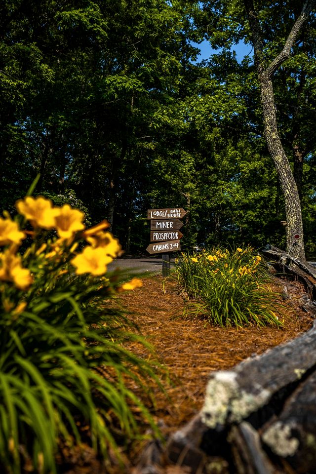 Great Cabins Ideal for Groups Getaways in Copperhill, Tennessee