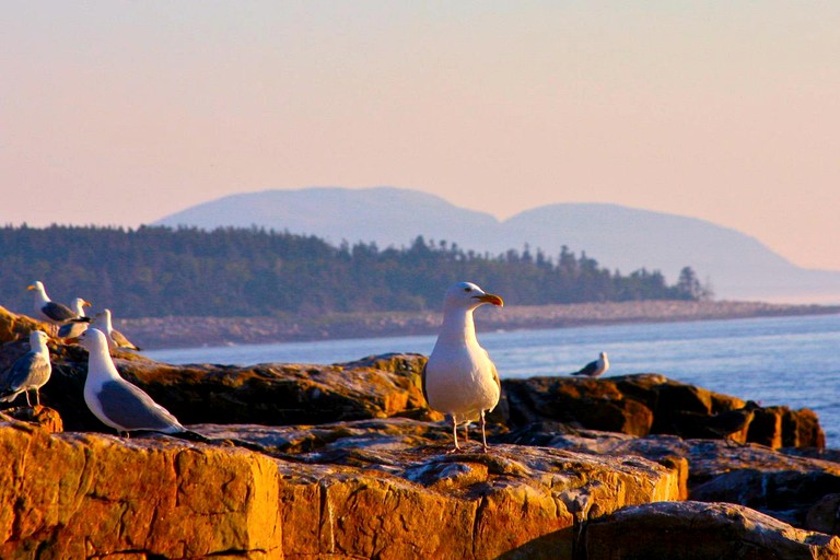 Vacation Rentals (Frenchboro, Maine, United States)