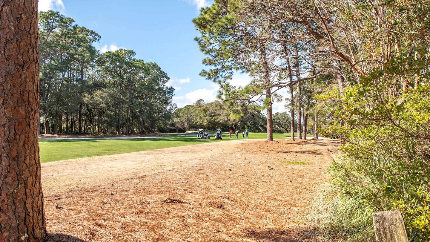 Modern Cottage with Endless Outdoor Activities in Pawleys Island, South Carolina