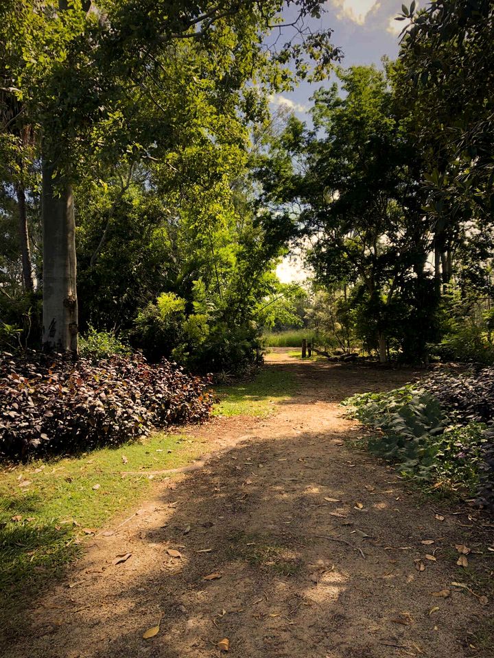 Great Tiny House with Lovely Hiking Trails and Wildlife in Queensland