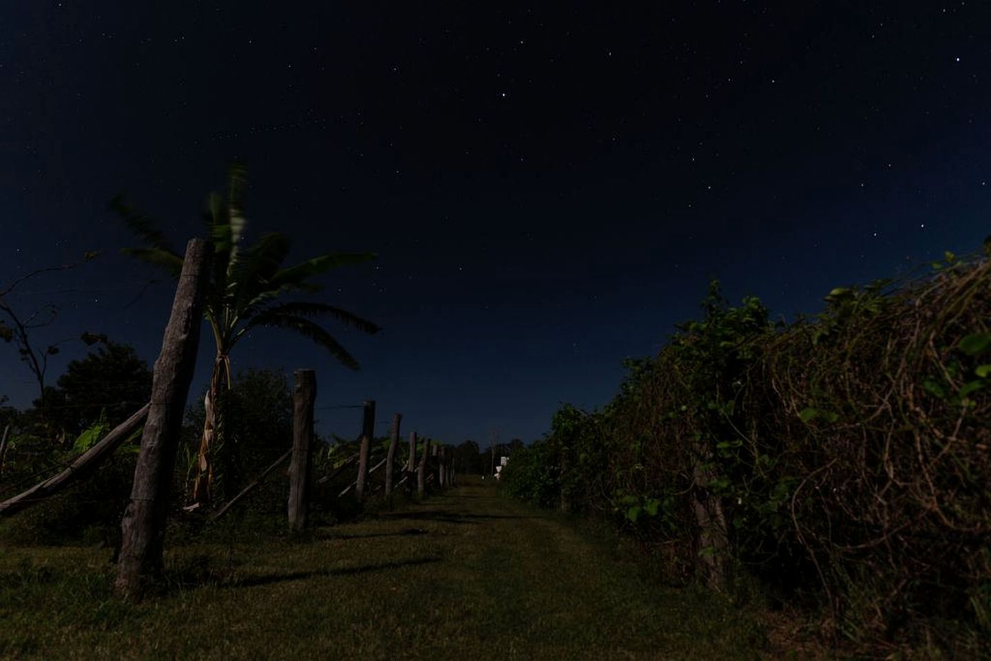 Great Tiny House with Lovely Hiking Trails and Wildlife in Queensland