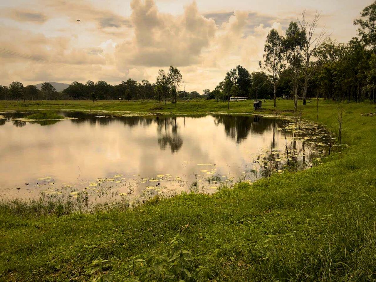 Great Tiny House with Lovely Hiking Trails and Wildlife in Queensland